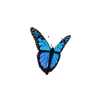 API integration architecture